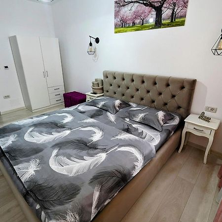 White Studio Câmpulung Moldovenesc Extérieur photo
